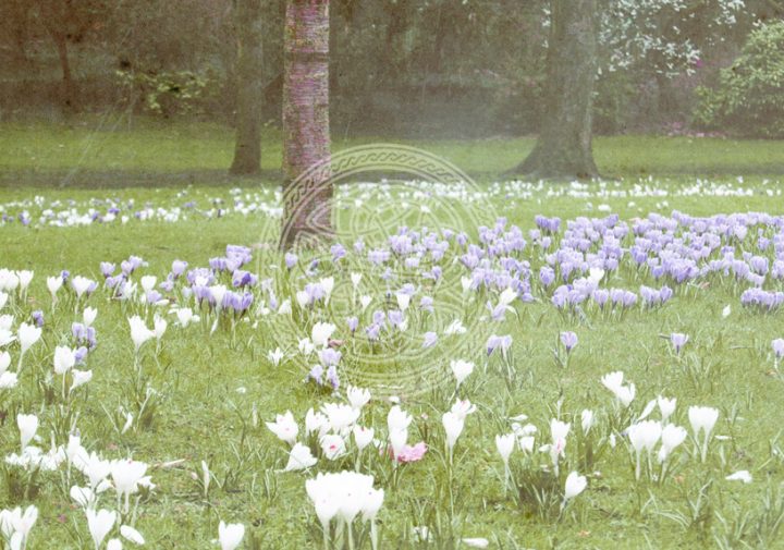 Ostara festividad celta